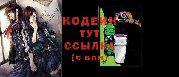 индика Баксан