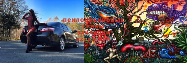 индика Баксан