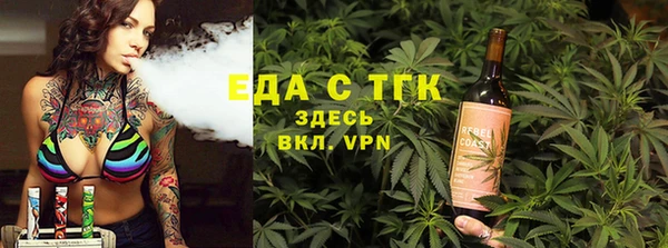 индика Баксан
