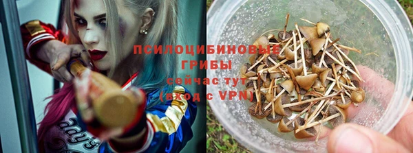 индика Баксан